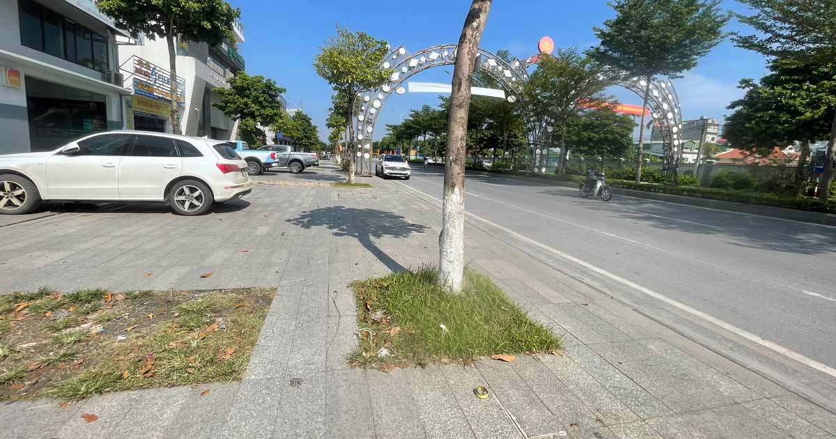 Bán nhanh lô đất mặt đường Lý Thái Tổ Từ Sơn ( Cách siêu thị Dabaco 50 m )