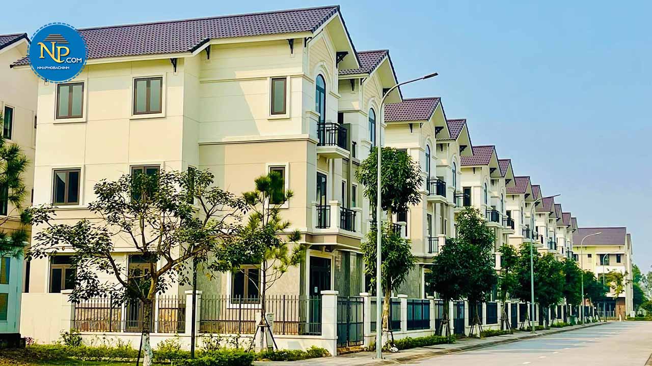 BÁN SIÊU PHẨM HOA HẬU 